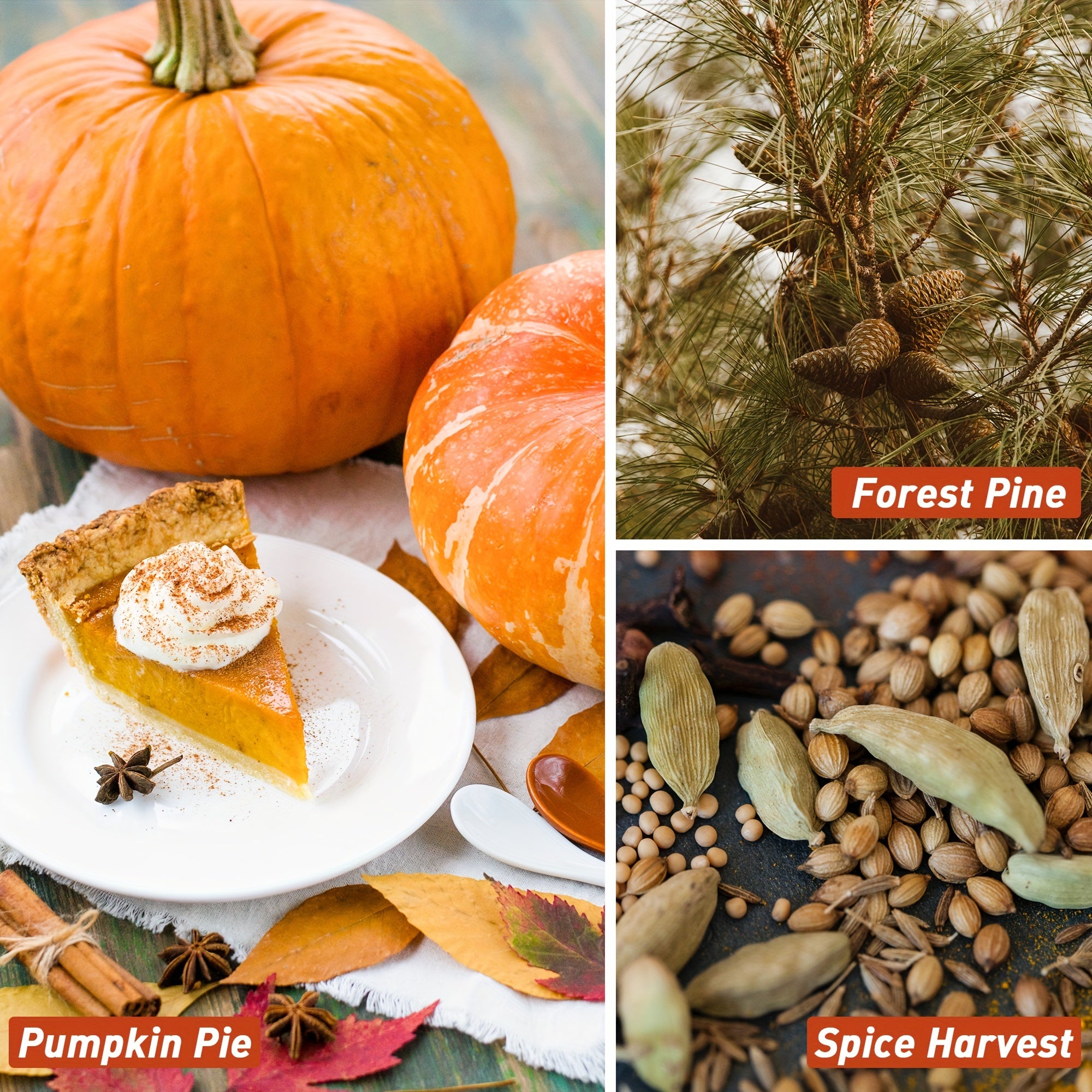 6x0.34oz Fall Fragrance Oil, ESSLUX Autumn Set Of Scented Oils, Candle Making Scents, Aromatherapy Essential Oils Gift Set For Home Diffuser, Laundry Dryer Ball, Forest Pine, Orange Cinnamon, Pumpkin Pie, Apple, Spice Harvest