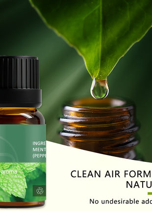 6-piece Set Of 6 Scents Of Pure Aromatherapy Essential Oils, Essential Oil 10 Ml, Suitable For Cold Aromatherapy, Humidifier, Perfume Bath - Rose Lavender Rosemary Mint Eucalyptus Tea Tree (0.34 Oz * 6) Aromatherapy Essential