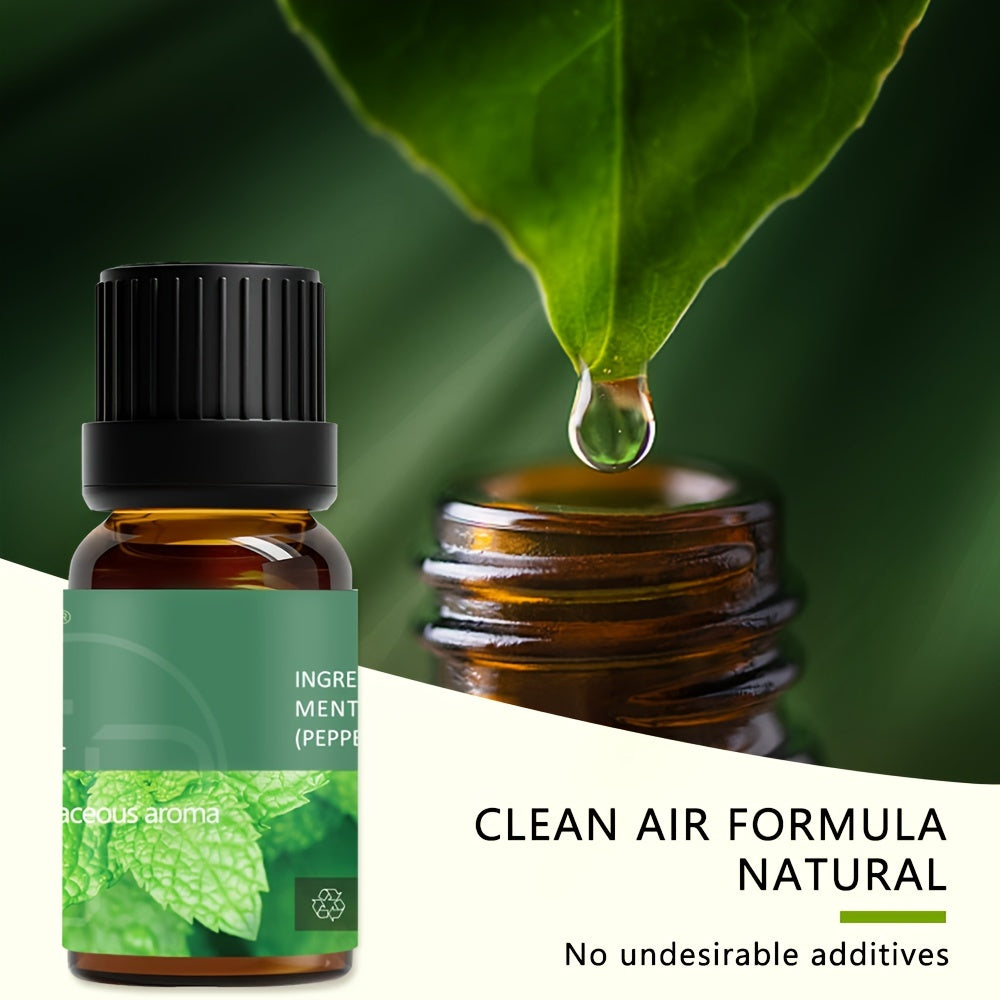 6-piece Set Of 6 Scents Of Pure Aromatherapy Essential Oils, Essential Oil 10 Ml, Suitable For Cold Aromatherapy, Humidifier, Perfume Bath - Rose Lavender Rosemary Mint Eucalyptus Tea Tree (0.34 Oz * 6) Aromatherapy Essential